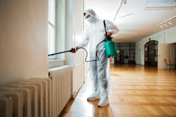 Best Termite Control Services  in Durango, CO